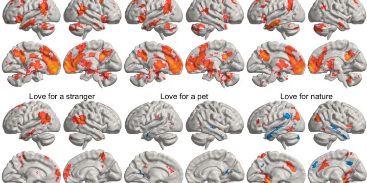 Study reveals where love is located in the brain