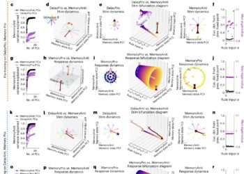 Study shows that flexible multitasking computation in recurrent neural networks relies on dynamic patterns