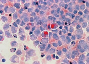 Survival mechanism opens possibilities for new therapies