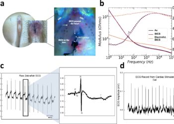 Team develops injectable pacemaker for emergency situations
