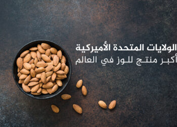 The 7 largest almond producing, exporting and importing countries in the world | Economy