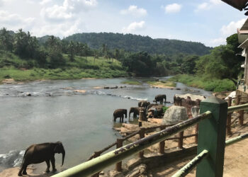The magic of nature and low costs.. Why do we recommend visiting Sri Lanka? | Economy