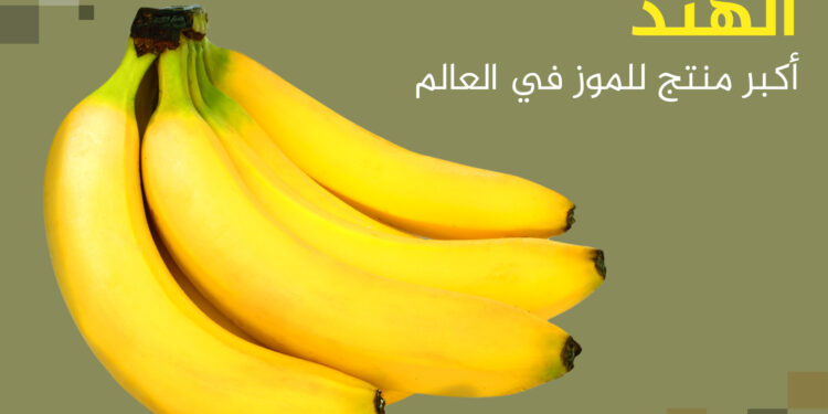 Top 10 Banana Producing, Exporting and Importing Countries in the World | Economy