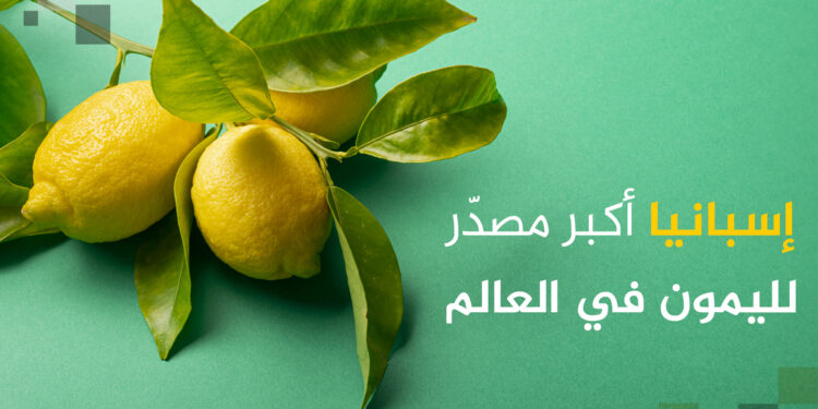 Top 10 lemon producing and exporting countries in the world, including an Arab country | Economy