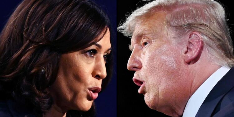 US presidential election: here are the states to watch