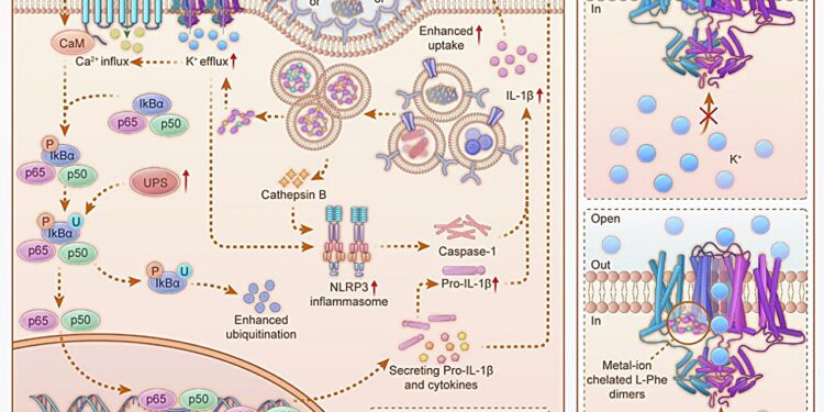 Use of metal ion-linked nanostructures to enhance immune response and boost breast tumor treatment