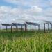 Validated simulations optimize solar energy production through row-crop agriculture