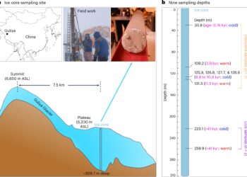 Virus adaptations to extreme weather conditions provide insights into climate change