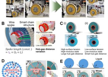 Watch how this shape-shifting wheel tackles uneven surfaces