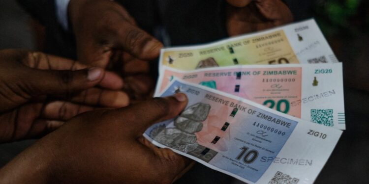 Zimbabwe prepares to abandon the US dollar | Economy