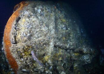114 dead in forgotten disaster: wreck of French ship found at bottom of North Atlantic