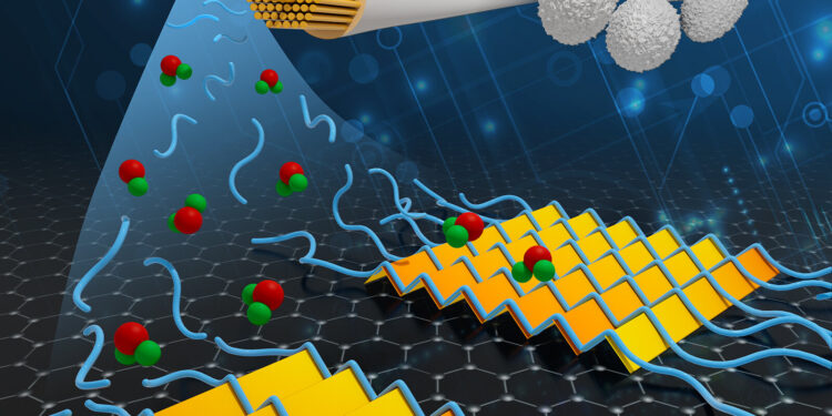 2D Silk Protein Layers on Graphene Pave the Way for Advanced Microelectronics and Computing