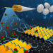 2D Silk Protein Layers on Graphene Pave the Way for Advanced Microelectronics and Computing