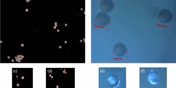 3D imaging allows researchers to observe the degradation of micro- and nanoplastics in unprecedented detail