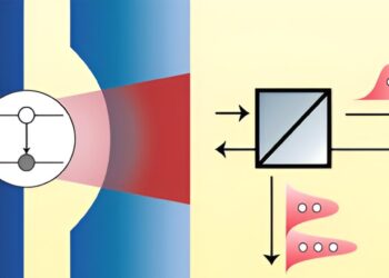 A device for sorting photon states could be useful for optical quantum computing circuits