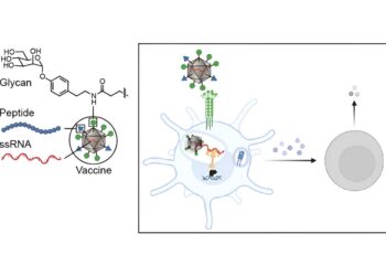 A new way to reprogram immune cells and direct them towards anti-tumor immunity