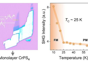 A powerful magnetic second harmonic generation effect discovered in a two-dimensional CrPS₄ monolayer