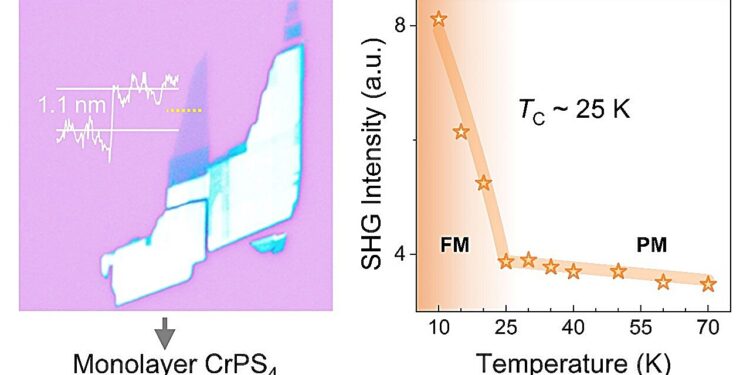 A powerful magnetic second harmonic generation effect discovered in a two-dimensional CrPS₄ monolayer