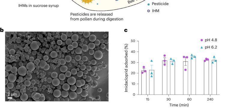 A promising antidote for bees against deadly pesticides
