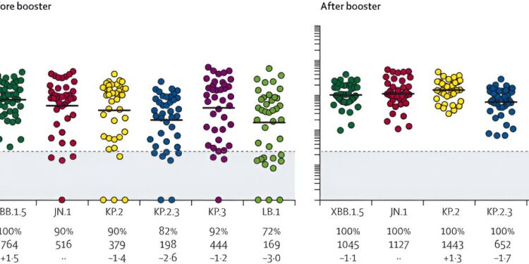 A study confirms the effectiveness of the new omicron booster