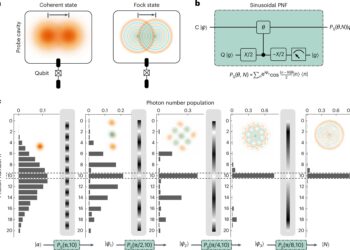 A versatile approach to achieve enhanced quantum metrology with large Fock states