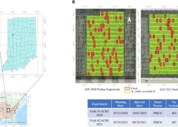 AI network shows potential to predict crop yield