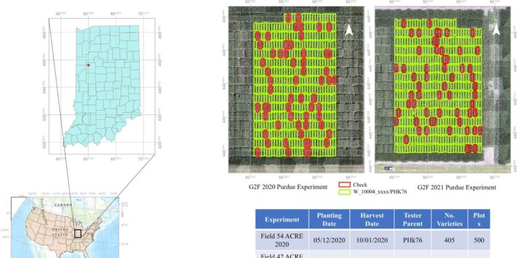 AI network shows potential to predict crop yield