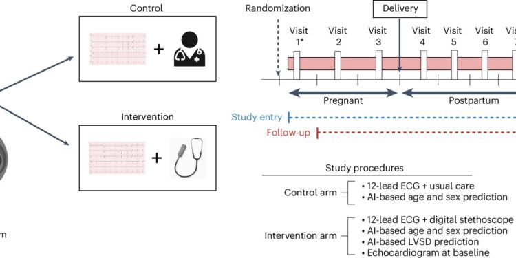 AI stethoscope doubles detection of heart failure during pregnancy