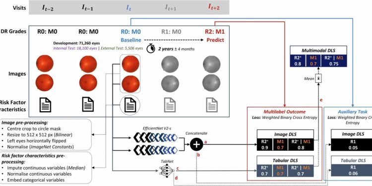 AI tool uses eye imaging datasets to optimize diabetes eye screening