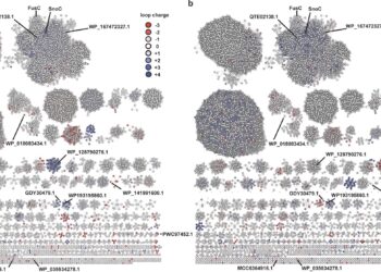 AI tools help uncover enzymatic mechanisms of lasso peptides