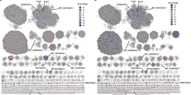 AI tools help uncover enzymatic mechanisms of lasso peptides