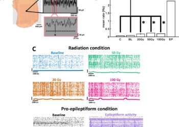 Adapting radiotherapy to brain cancer treatment: a personal investigation