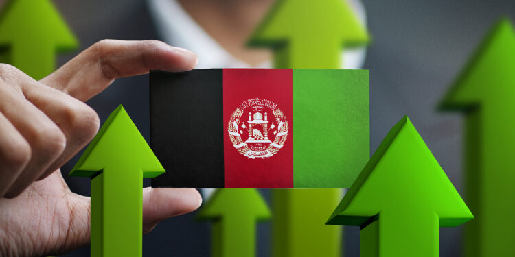 Afghanistan seeks rapprochement with BRICS | Economy News