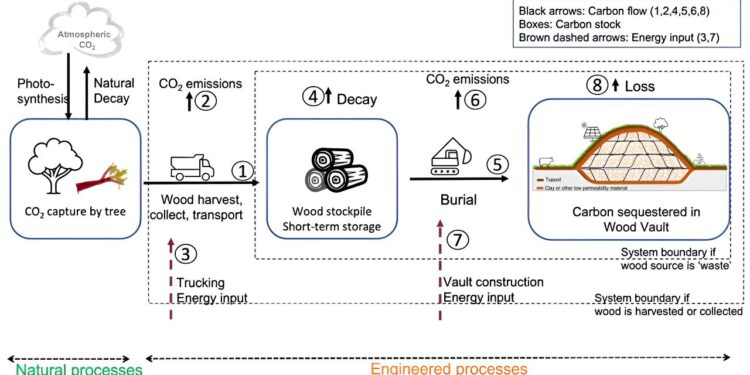 An ancient buried log testifies to the existence of biomass vaults as an inexpensive way to store the carbon responsible for global warming