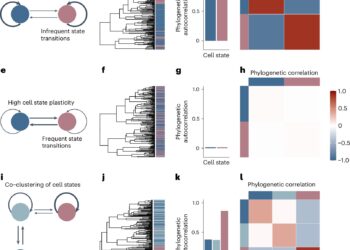 Analytical tool quantifies cancer’s ability to change shape