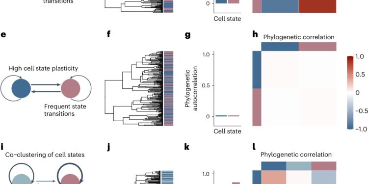Analytical tool quantifies cancer’s ability to change shape