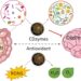 Antioxidant carbon dot nanozymes alleviate depression in rats by restoring the gut microbiome
