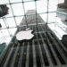 Apple, Google lose multi-billion dollar legal battles with EU | Economy