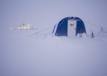 Arctic microalgae show photosynthesis is possible in near darkness