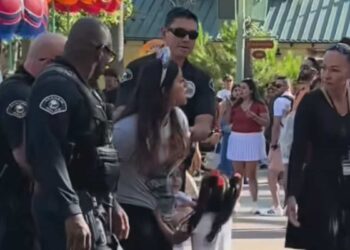 ‘Arrested at the happiest place on earth’: Mother gets handcuffed at Disneyland