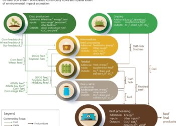 Beef industry can cut emissions by up to 30%, new study finds