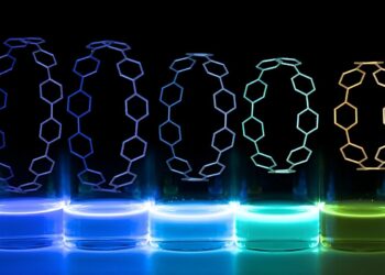 Bioengineers and chemists design 3D printed fluorescent structures with potential medical applications
