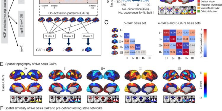 Biomarkers for psychiatric illnesses? Study brings researchers one step closer to a solution