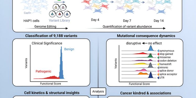 Breast and ovarian cancer linked to thousands of genetic variants