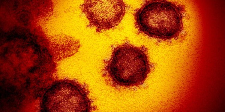 COVID-19 rates fluctuate every six months in the United States, new study finds