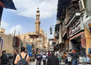Canceling secondary education subjects throws thousands of Egyptian teachers into unemployment economy