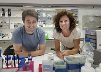 Cannabidiol Relieves Symptoms of Leigh Syndrome