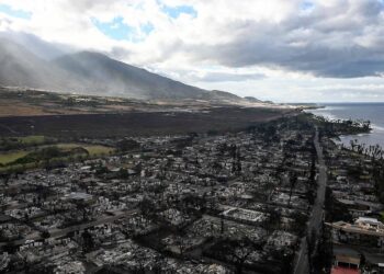 Cause of 2023 Hawaii wildfires revealed