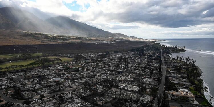 Cause of 2023 Hawaii wildfires revealed