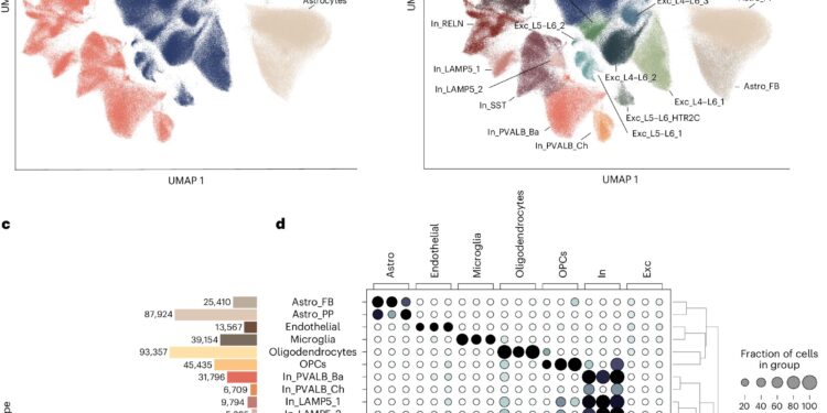 Changes in gene activity detected in different cell types